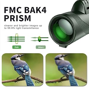 monocular
